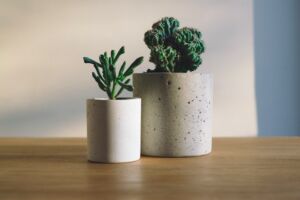 photo of two plants in white vases sitting on a wooden desk