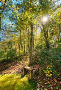 emdr treatment san francisco, emdr treatment palo alto