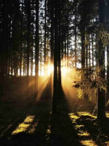What to Expect in Therapy for Male Survivors of Sexual Abuse